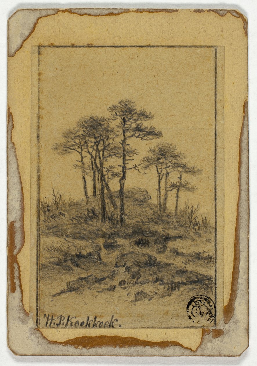 洛基山上的树木 作者 亨德里克·彼得·科克科克（Hendrik Pieter Koekkoek）