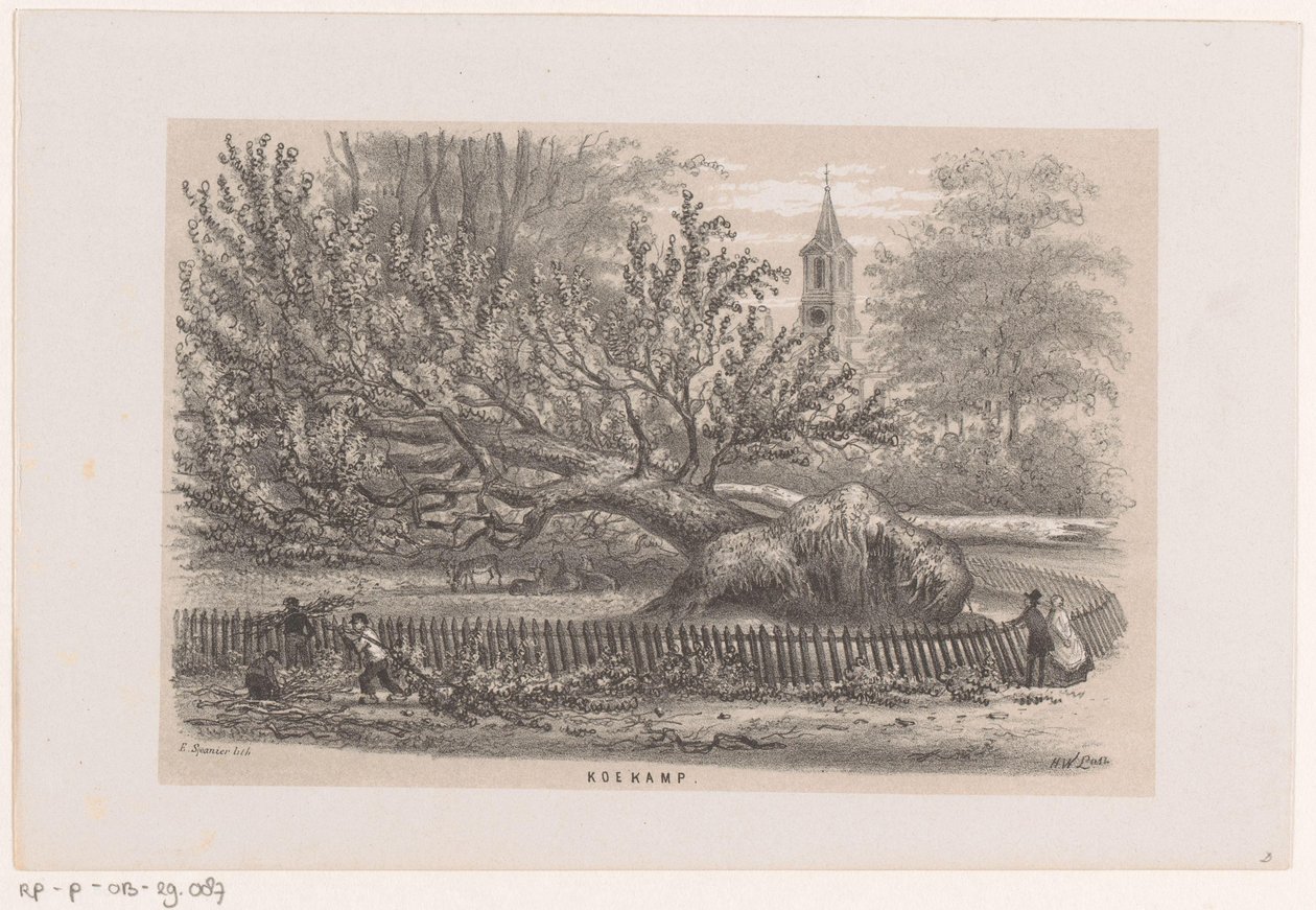 Koekamp 附近的倒塌树木，1860 年 5 月 28 日暴风雨之后
科坎普（标题在实物上）
描绘 1860 年 5 月 28 日暴风雨在斯切的格拉文哈格舍博斯造成的破坏场景的十幅石版画素描相册 作者 亨德里克·威廉姆斯最后