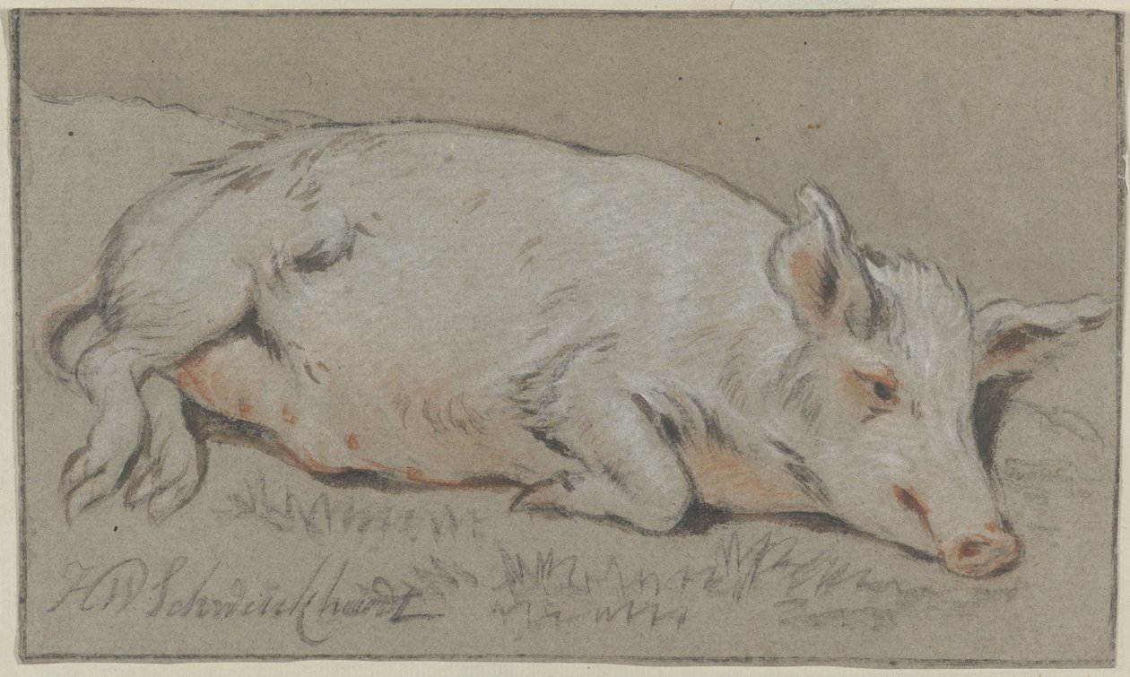 卧猪 作者 Hendrik Willem Schweickhardt（艺术家签名）