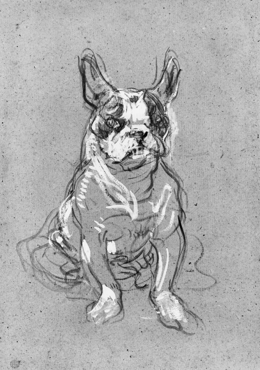&39;Bouboule&39;，1897年La Souris的Palmyre夫人的斗牛犬（纸板上的油） 作者 亨利·德·图卢兹·劳特雷克
