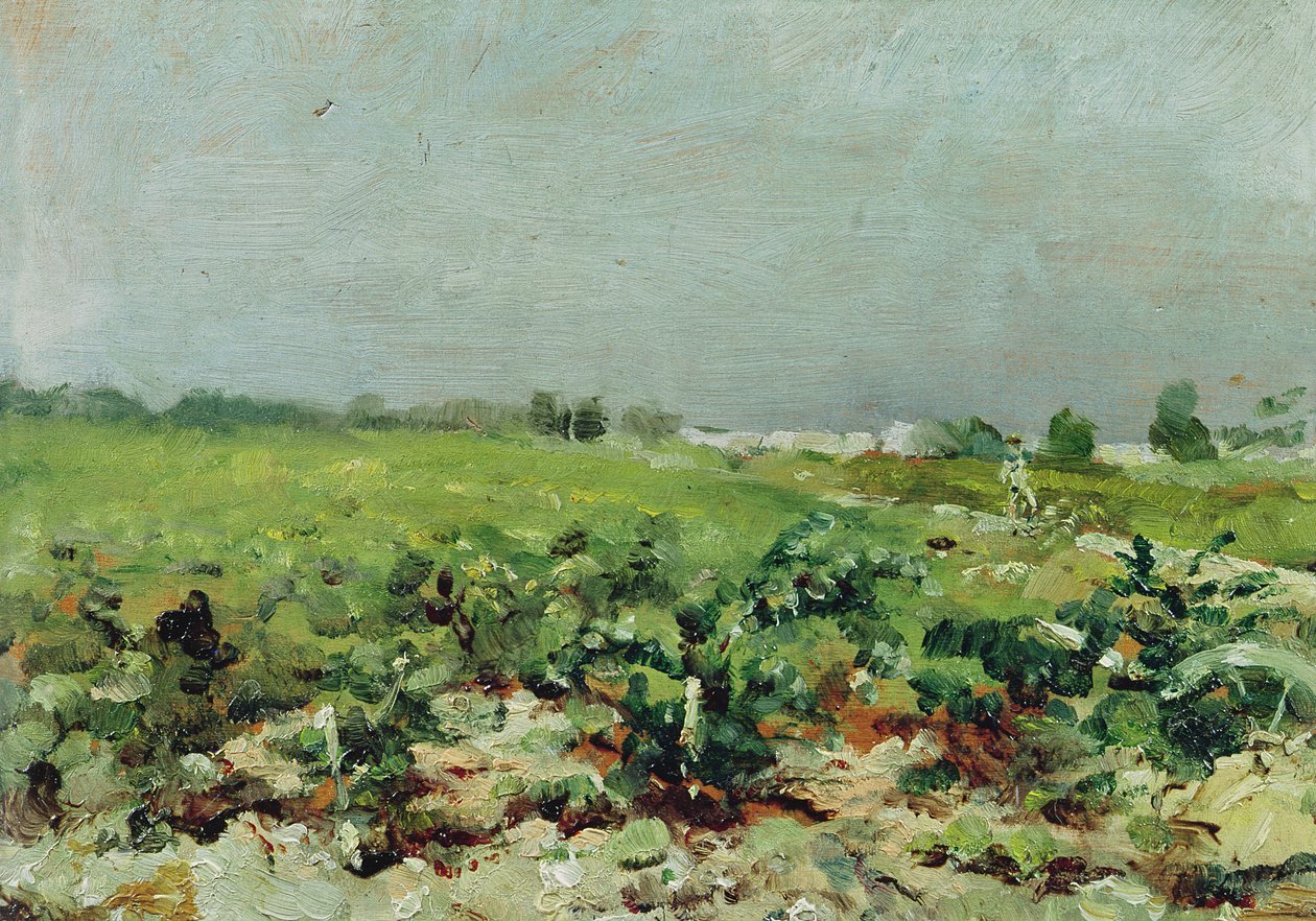 Celeyran，葡萄园的看法，1880年 作者 亨利·德·图卢兹·劳特雷克