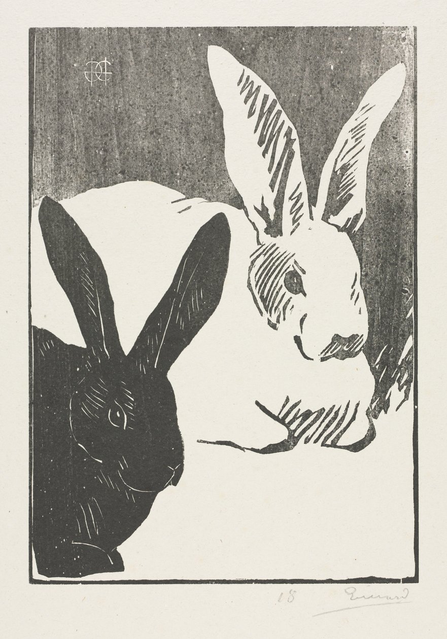 兔子，1893年。 作者 亨利·查尔斯·瓜拉德