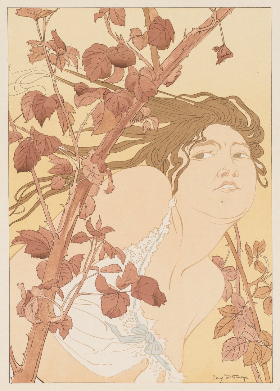 在Brambles Dans les Ronces, 1898. 作者 亨利·德图什