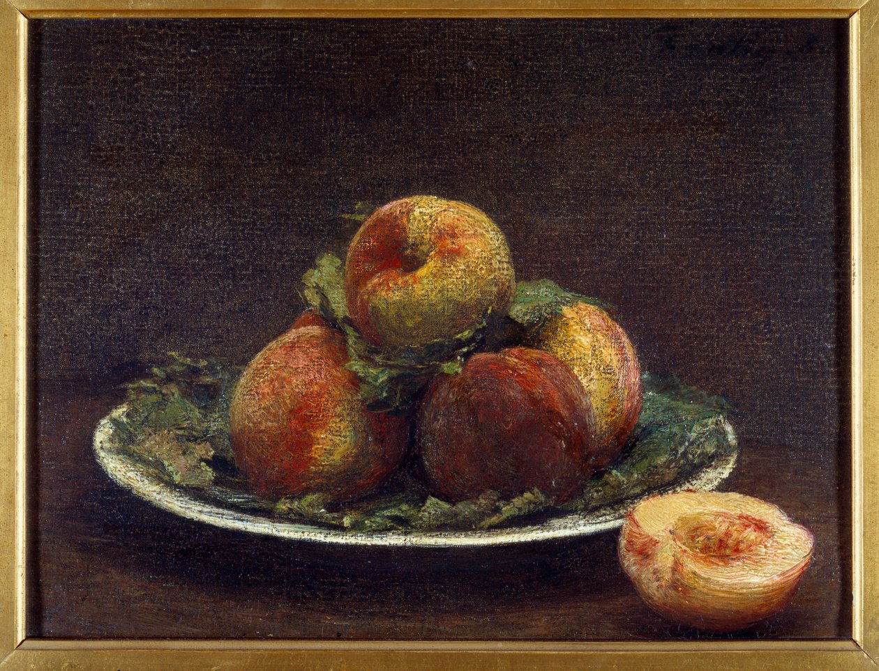 亨利-方丹-拉图尔（Fantin-Latour）的一盘山毛榉画。 作者 伊格纳斯·亨利·让·范坦·拉图尔