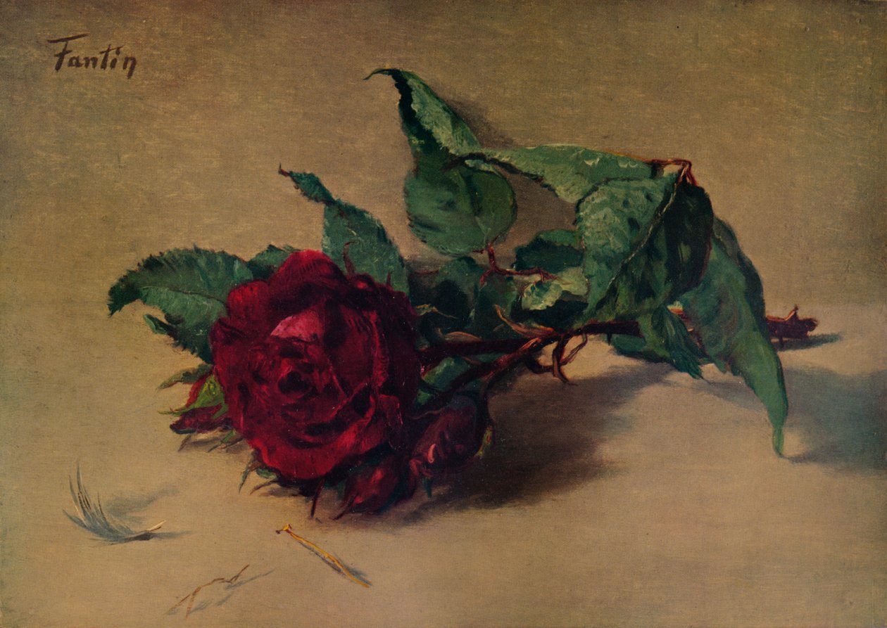 红玫瑰，c1864，1938年 作者 伊格纳斯·亨利·让·范坦·拉图尔