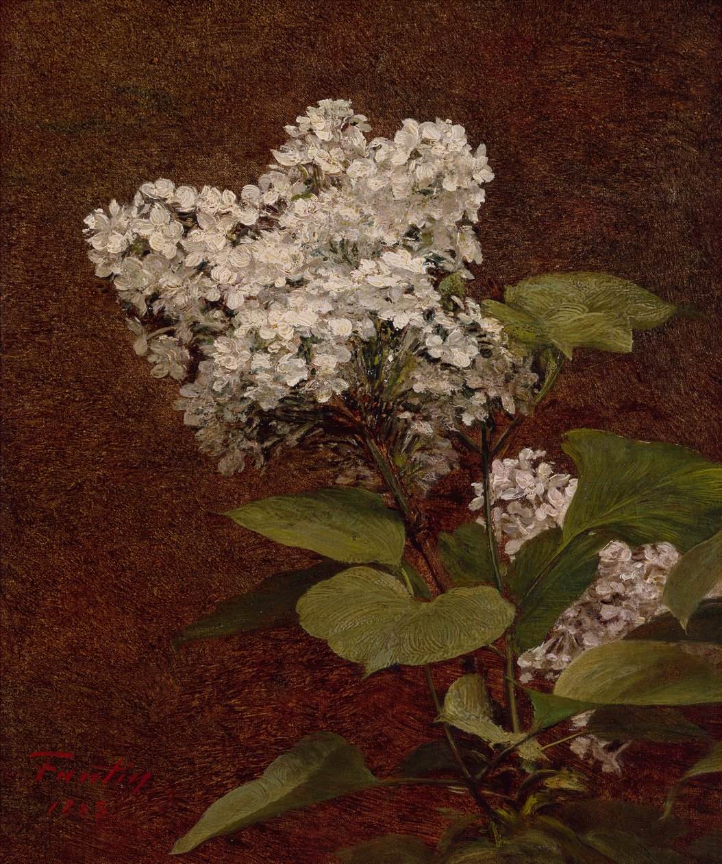 白色的丁香花 作者 伊格纳斯·亨利·让·范坦·拉图尔