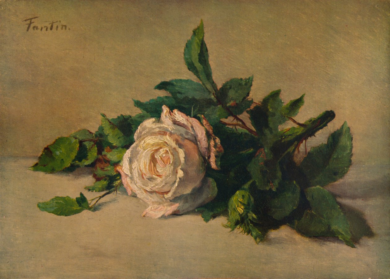 白玫瑰，c1863，1938年 作者 伊格纳斯·亨利·让·范坦·拉图尔