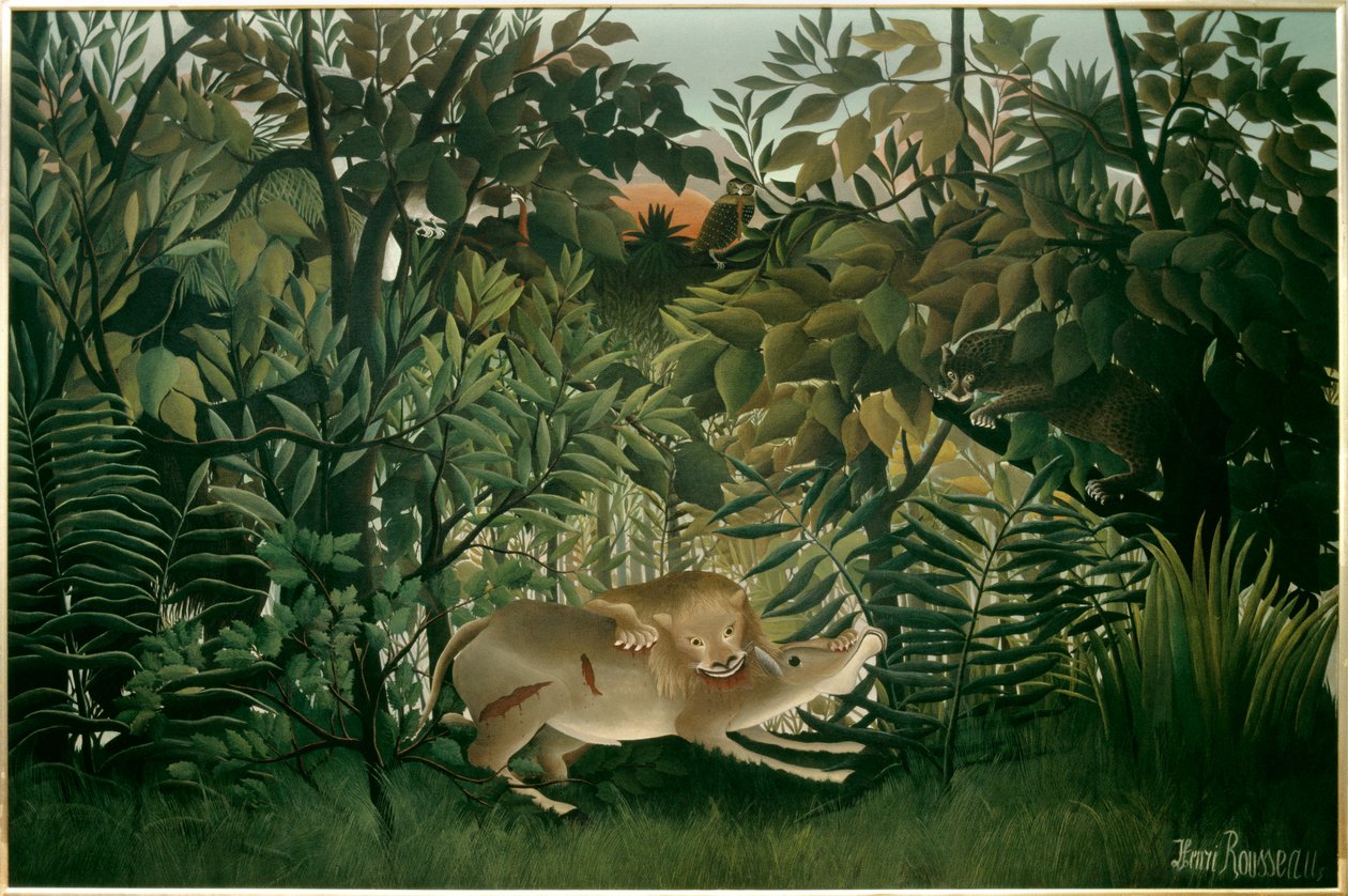 Hungry lion. Painting by Henri Rousseau dit Le Douanier Rousseau (1844-1910), 20th century. Oil on canvas. Dim: 2,00 X 3,00m. Bale, Museum of Fine Arts 作者 亨利·J·F·卢梭