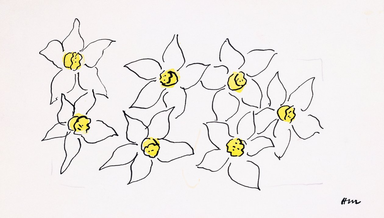 水仙花 作者 亨利·马蒂斯