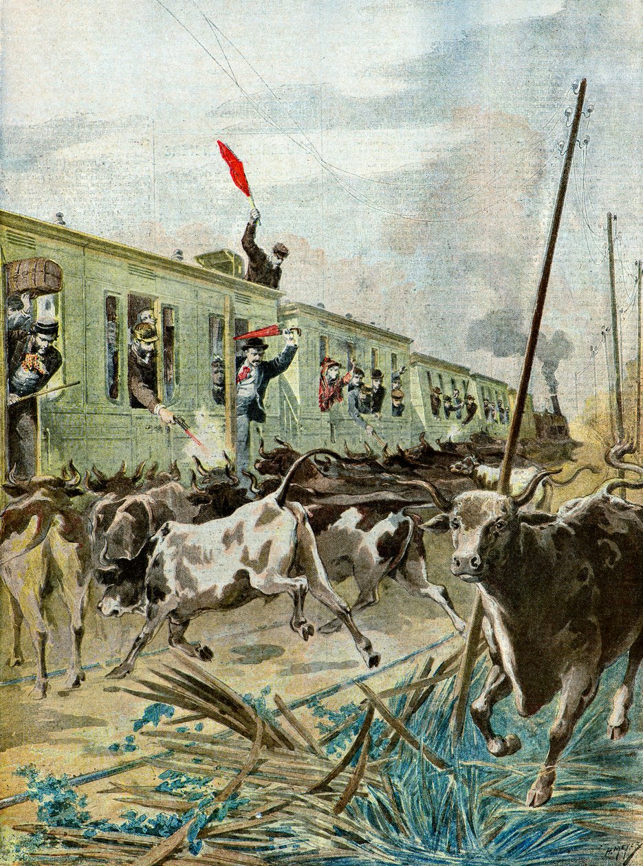 1895 年，一列火车被一群公牛袭击（插图） 作者 亨利·迈耶（Henri Meyer）