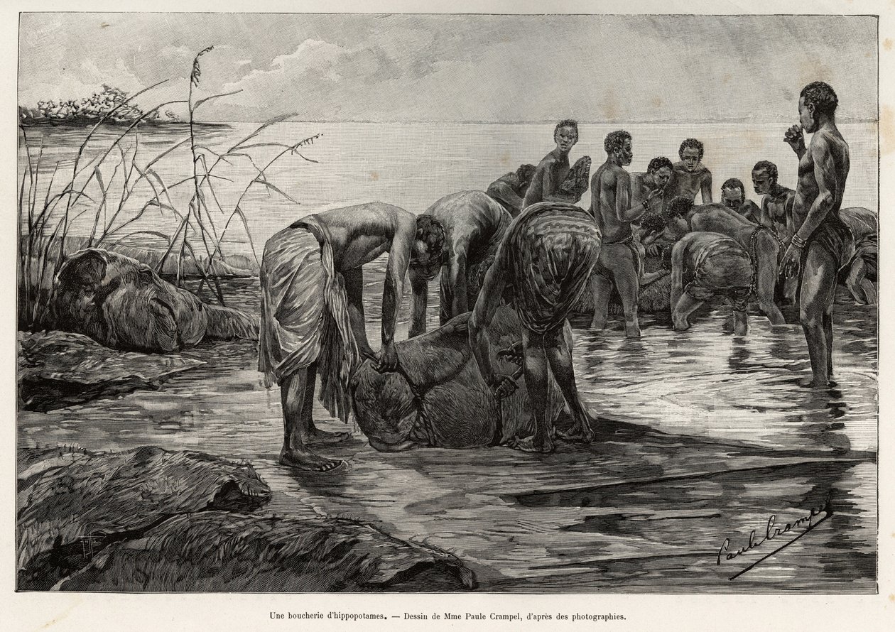 中非河岸边的一家河马肉店。 Henri Thiriat 为说明故事“La Mission Crampel”而雕刻，由 Albert Nebout (1862-1939) 创作，1890 年，在 Le tour du Monde 1892 中，由 Edouard Charton (1807-1891) 导演，宾夕法尼亚州阿歇特 作者 亨利·提里亚特