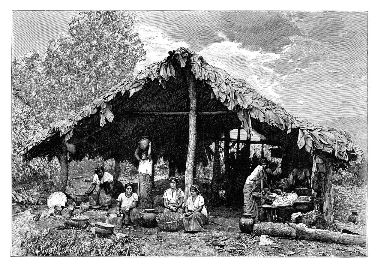 大约在1890年，中美洲，太平洋坡地上热土的印度妇女 作者 亨利·提里亚特