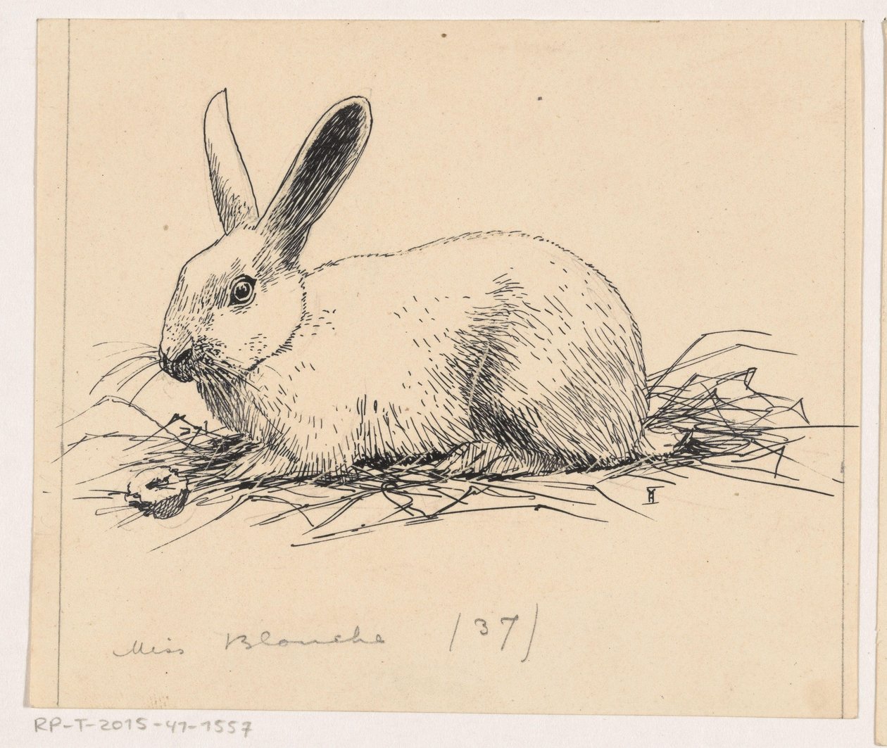 兔子 作者 Henri Verstijnen（艺术家签名）