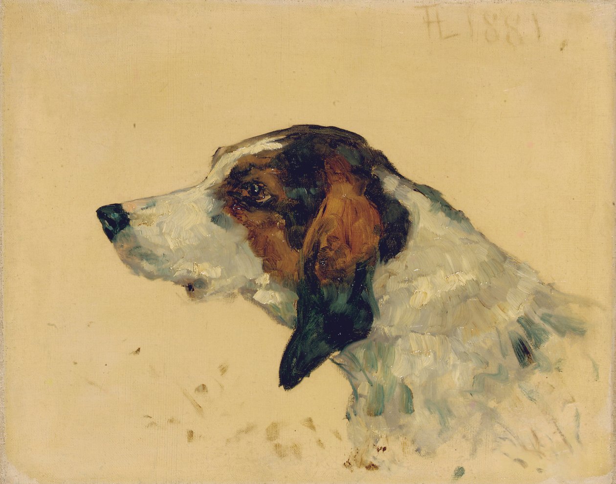 猎狗，1881年 作者 亨利·德·图卢兹·劳特雷克