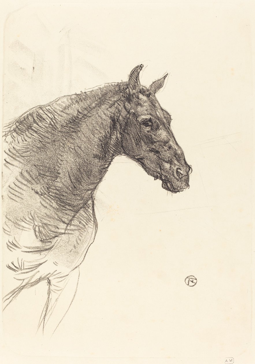 老马 Le vieux cheval, 1897. 作者 亨利·德·图卢兹·劳特雷克