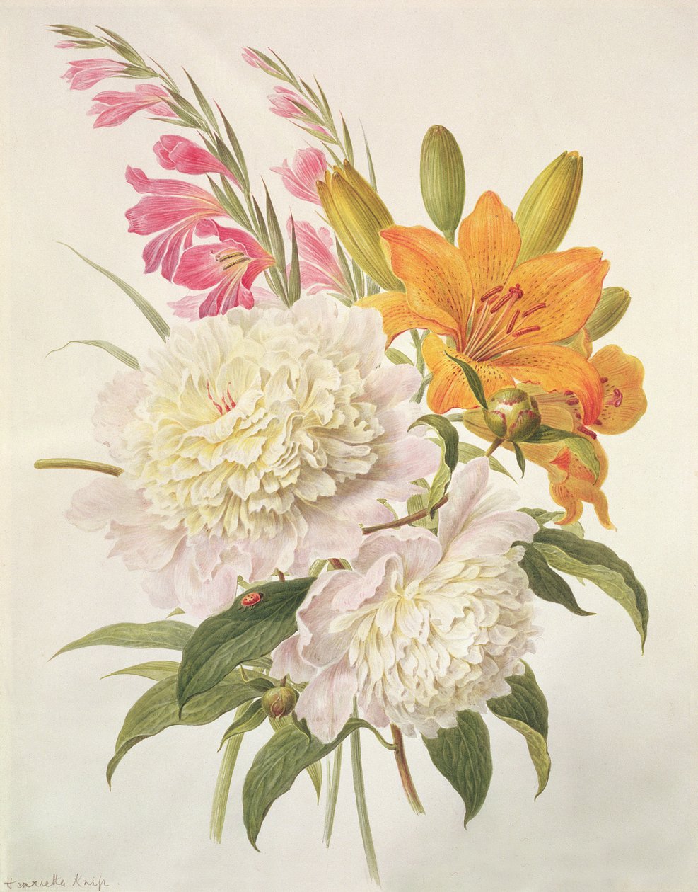 Gladioli，Peonies和百合属植物的喷雾剂 作者 亨利埃特·格特鲁里德·克尼普