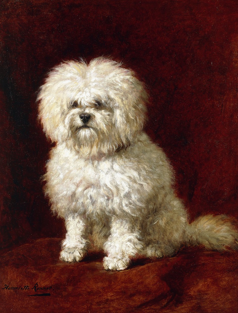 贵宾犬 作者 亨利特·罗纳·克尼普