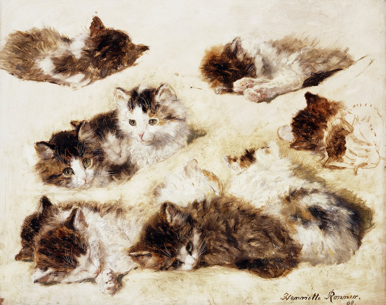 小猫研究，1898年 作者 亨利特·罗纳·克尼普