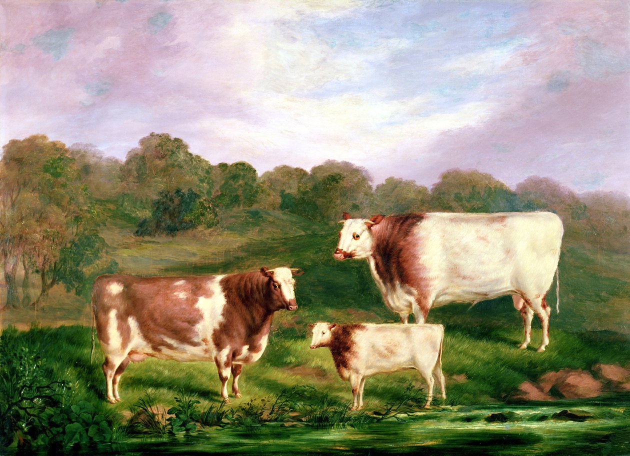 Towneley Pedigrees，1858-61 作者 亨利·巴劳