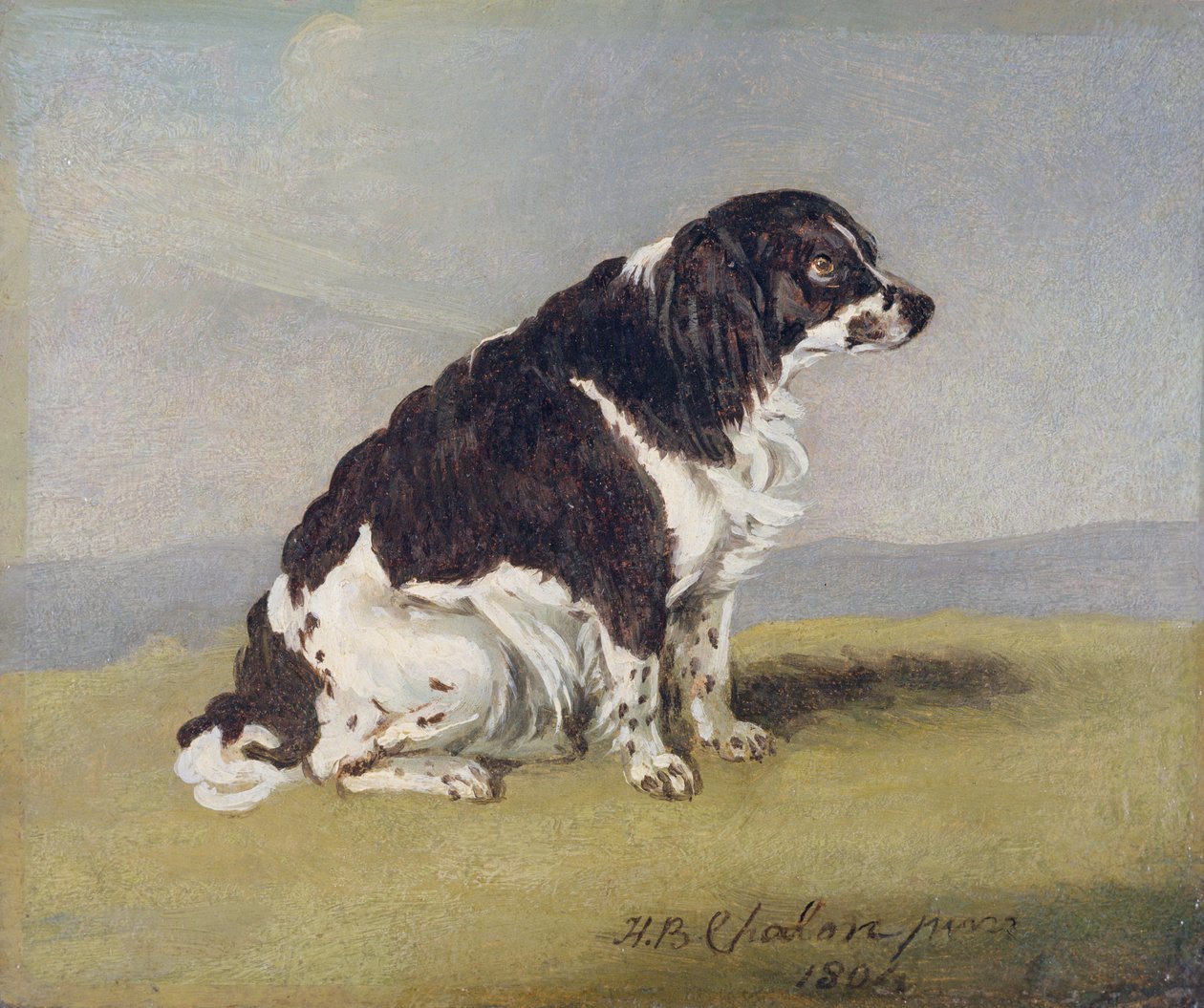 公爵夫人约克的西班牙猎犬，1804年（石油在板上） 作者 亨利·伯纳德·沙隆