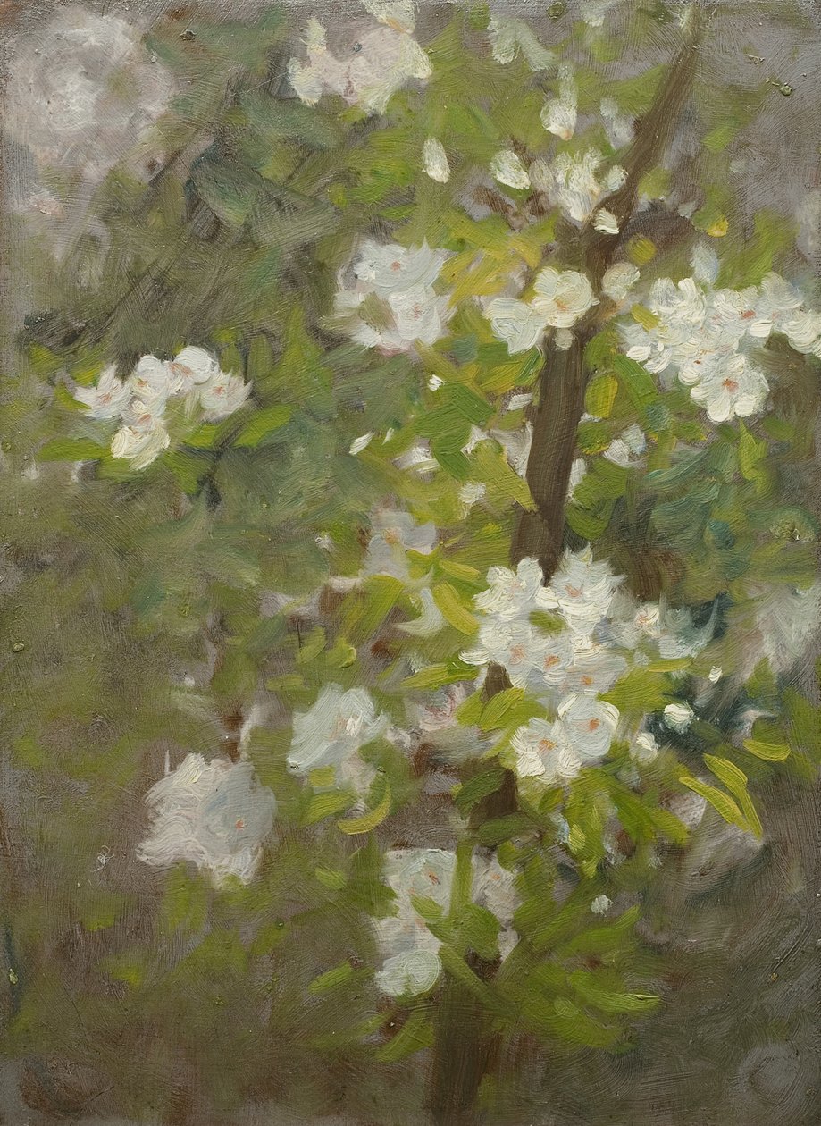 白花 作者 亨利·斯科特·图克