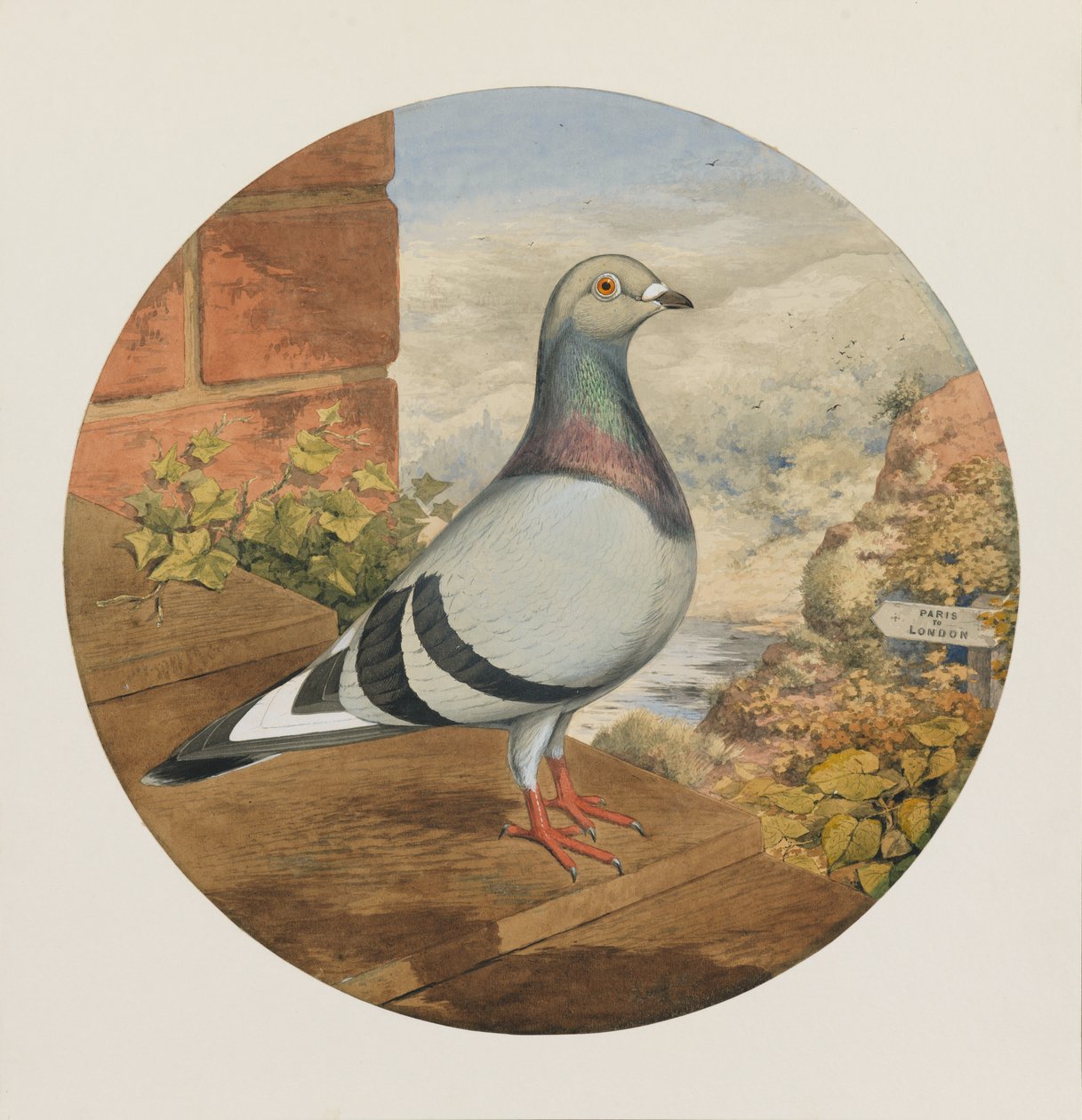 赛鸽，巴黎到伦敦，1880年 作者 亨利·斯蒂芬·鲁德洛