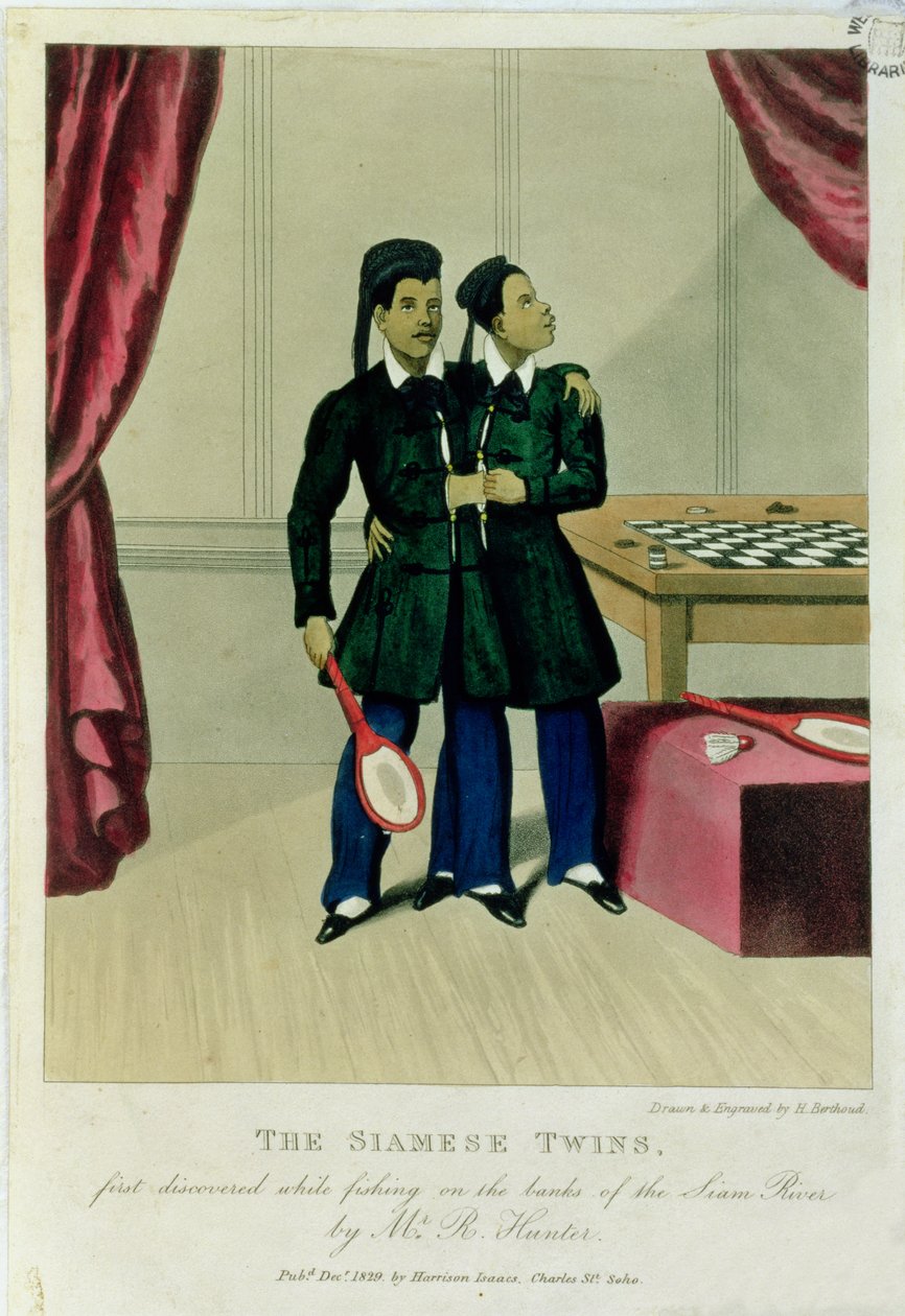暹罗双胞胎，1829年由R. Hunter先生在暹罗河畔钓鱼时首次发现 作者 亨利·伯索德