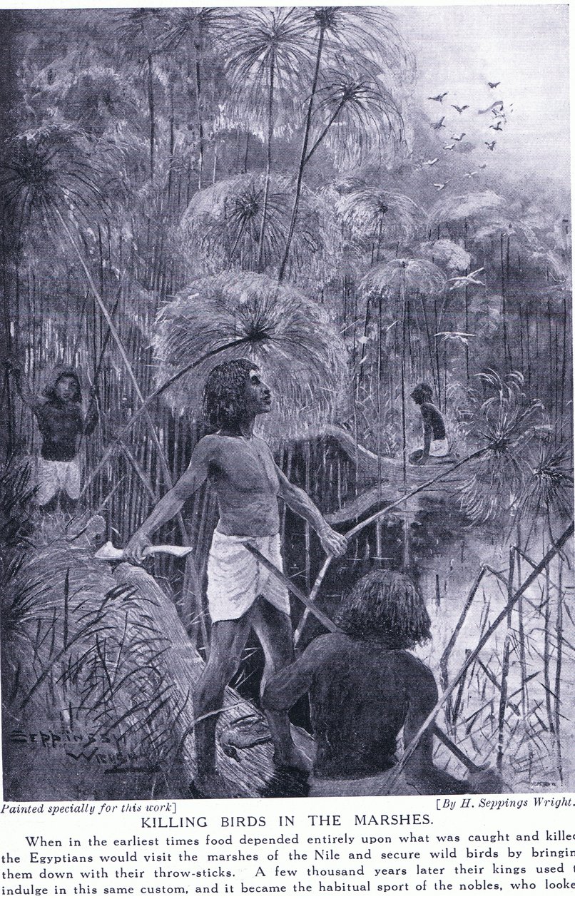 在沼泽中杀鸟，c.1920 作者 亨利·查尔斯·塞普金斯·赖特