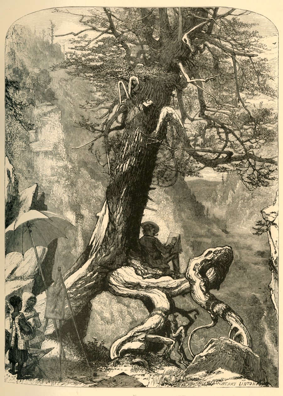 自然桥之上》，1872年。   作者 亨利·达夫·林顿