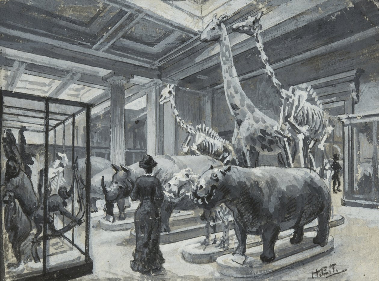 大英博物馆的内部视图，其中展示了包含动物展品的画廊，约于1880年 作者 亨利·爱德华·蒂德马什