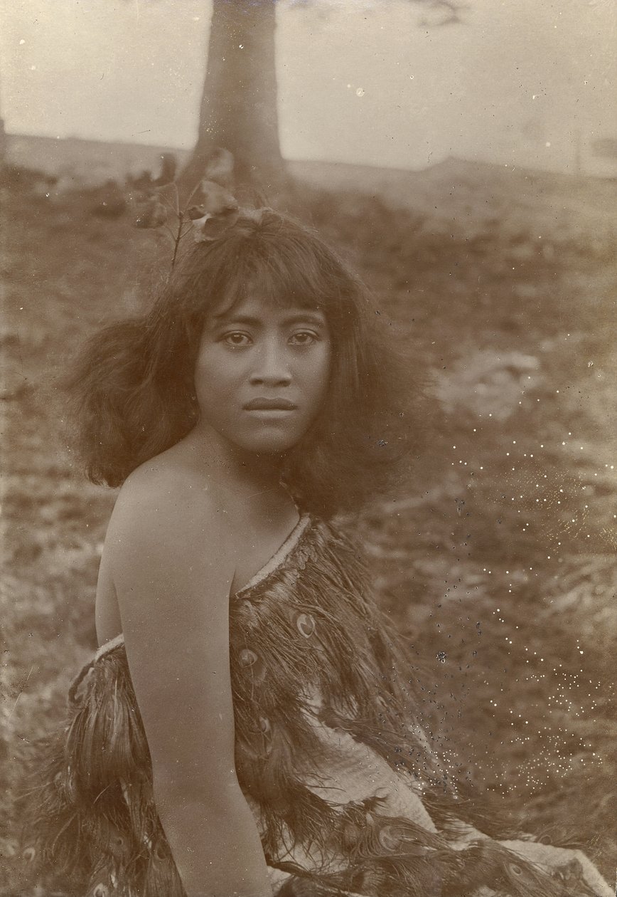 毛利人研究，约 1910 年（明胶银版画） 作者 亨利·盖兹