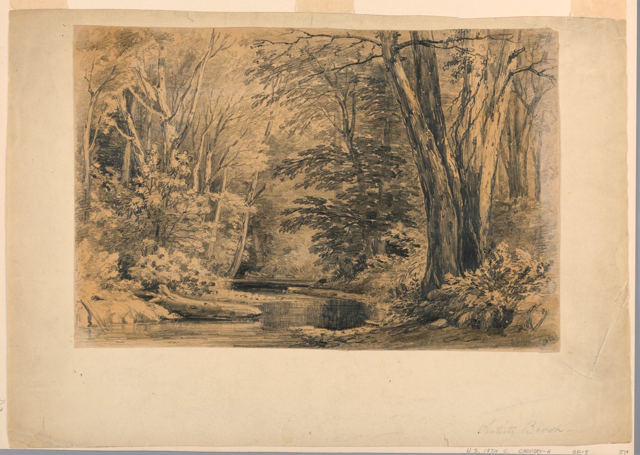 素描，森林中的小溪，1854 年 作者 亨利·希金斯