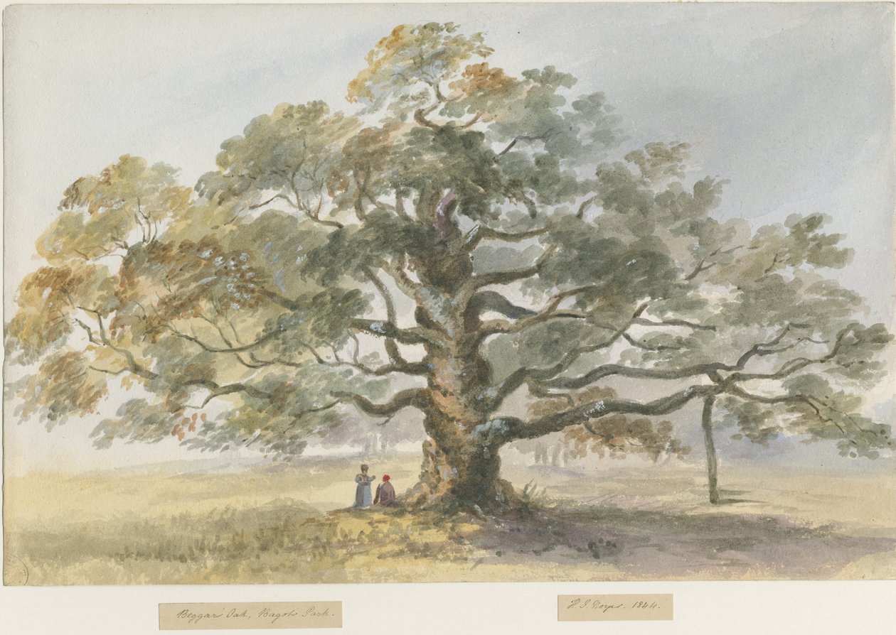Blithfield-Beggar&39;s Oak：水彩画，1844年 作者 亨利·詹姆斯·诺伊斯