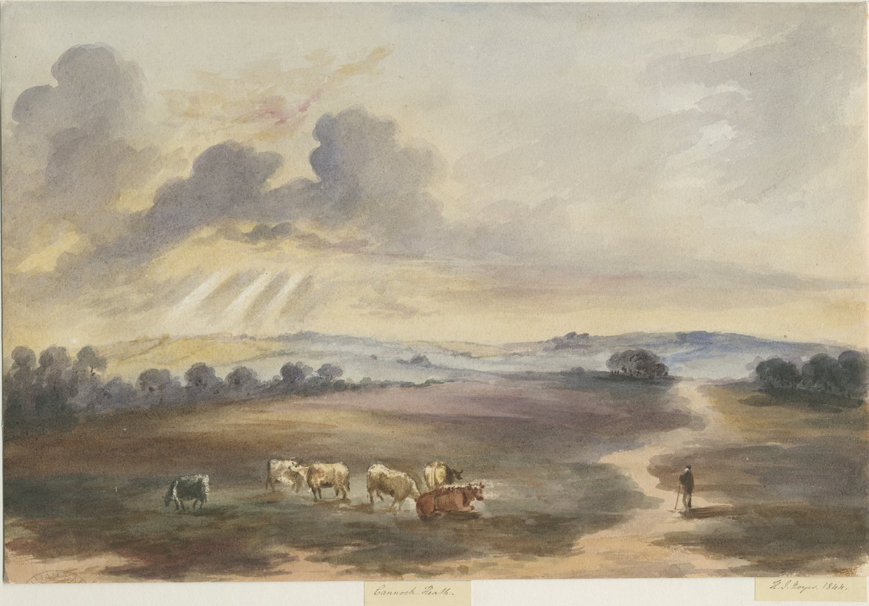Cannock Chase-“ Heath”：水彩画，1844年 作者 亨利·詹姆斯·诺伊斯