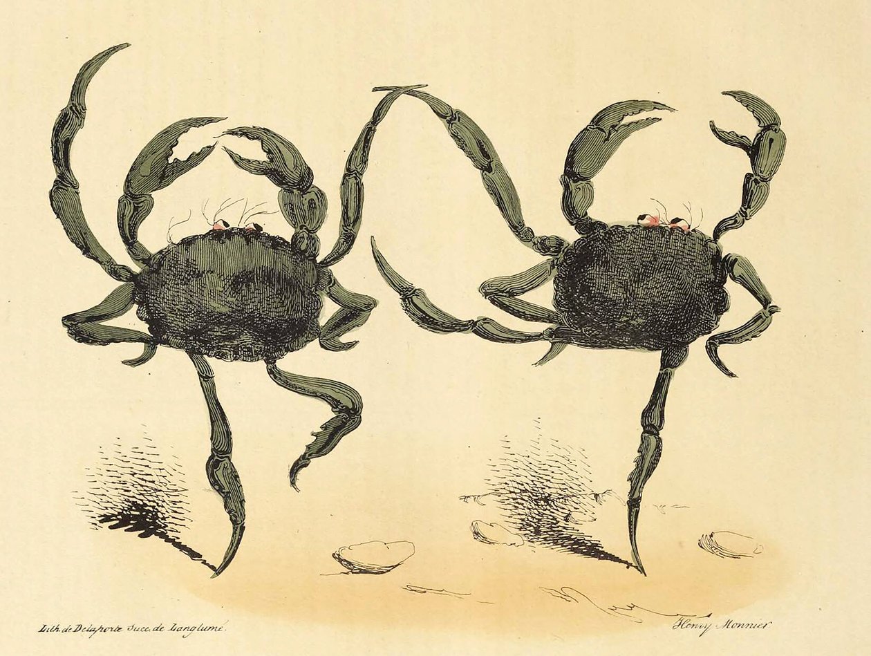 La Caricature中的Danse Fantastique, pub.1831年石版画，1831年。 作者 亨利·蒙尼尔