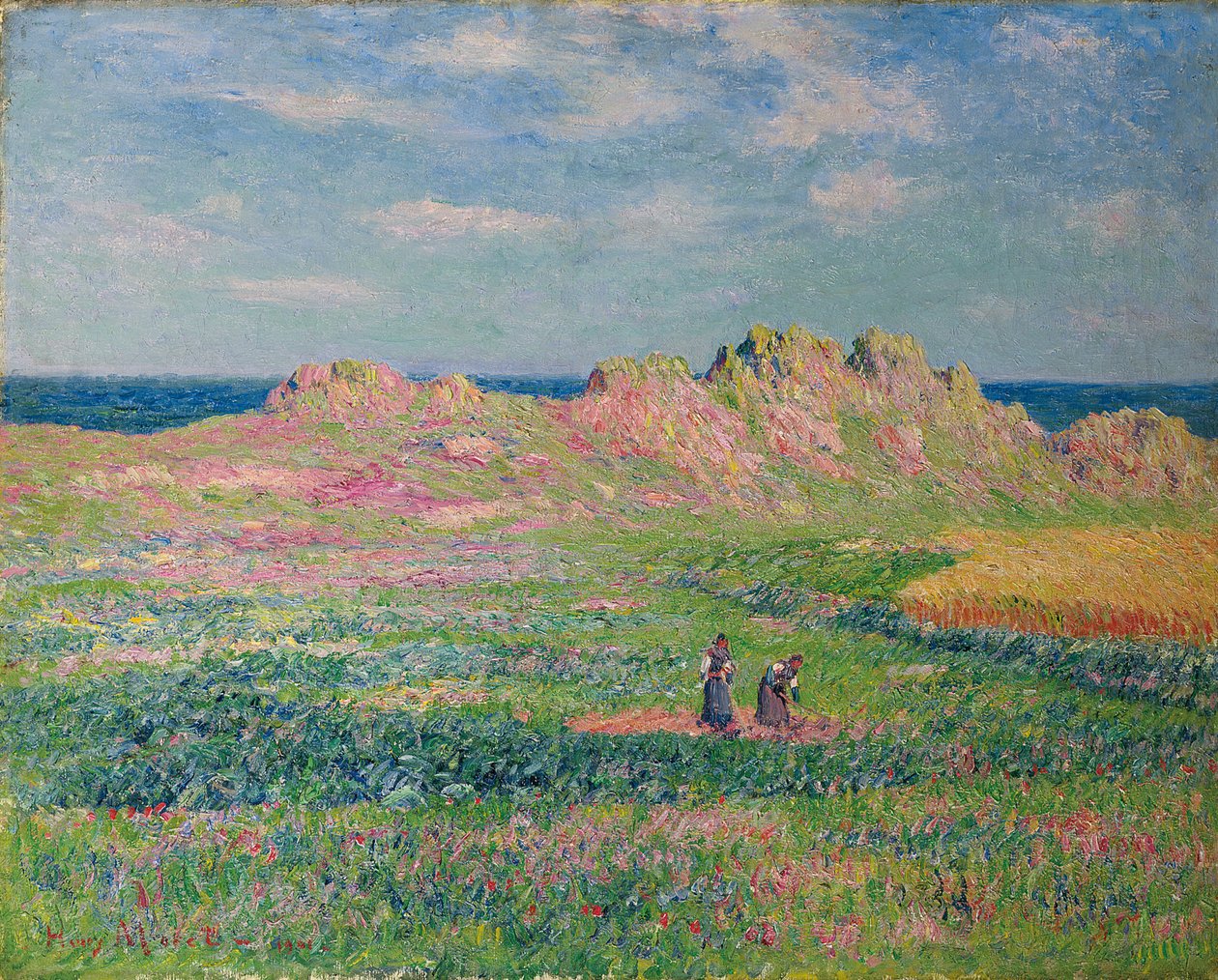 瓦森特岛，1901年 作者 亨利莫雷特