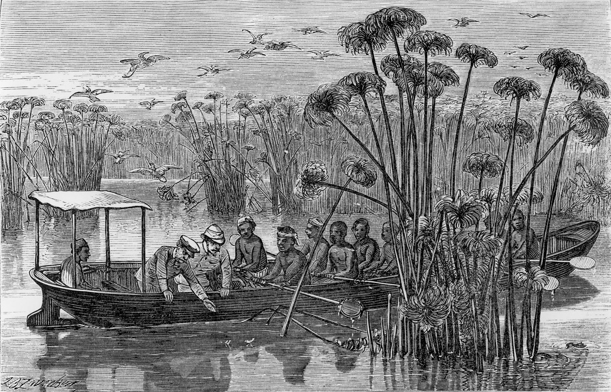 在Rusizi的嘴里，从&39;我如何找到利文斯通; 1867年在中非的旅行，冒险和探索 作者 亨利·莫顿·斯坦利