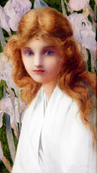 鸢尾花，约1885年（粉笔画）。 作者 亨利·莱兰德