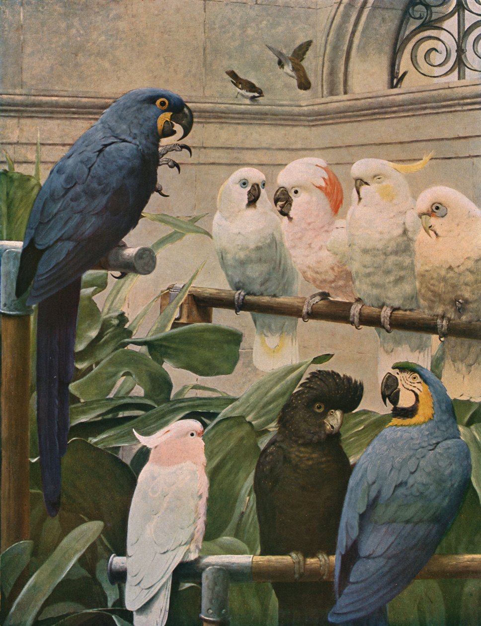 专责委员会，1891年，c1930。 作者 亨利·史黛西·马克斯