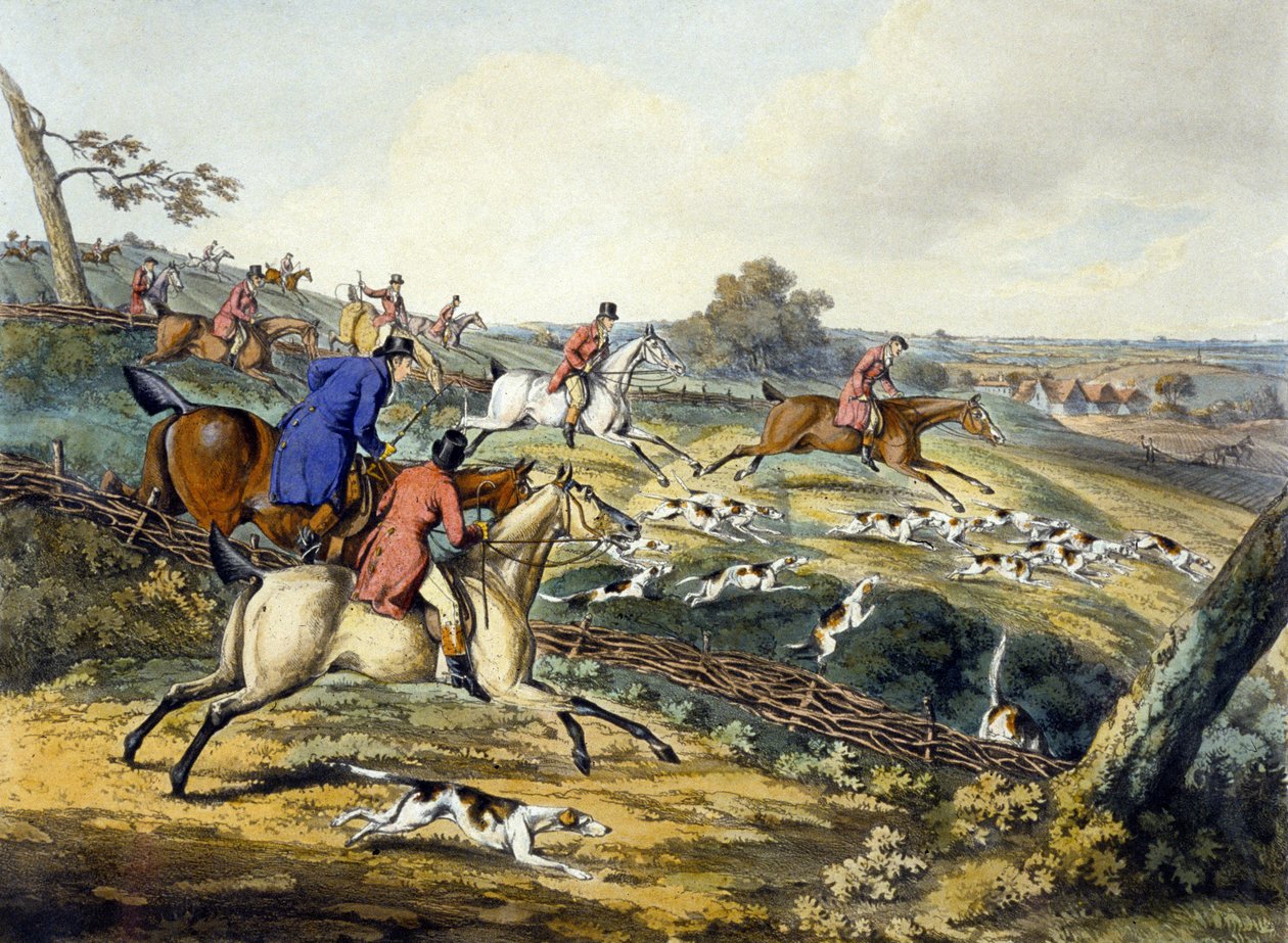 饱满的呼声，出自《猎狐》，由托马斯-萨瑟兰（1785-1838）雕刻（彩色平印）。 作者 亨利·托马斯（之后）阿尔肯