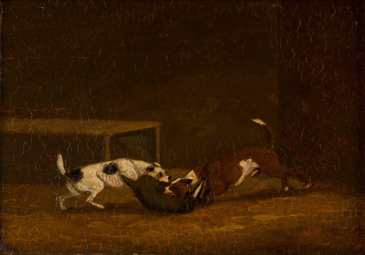 两只梗獾诱饵，c.1805-51（面板油画） 作者 亨利·托马斯（阿尔肯的追随者）
