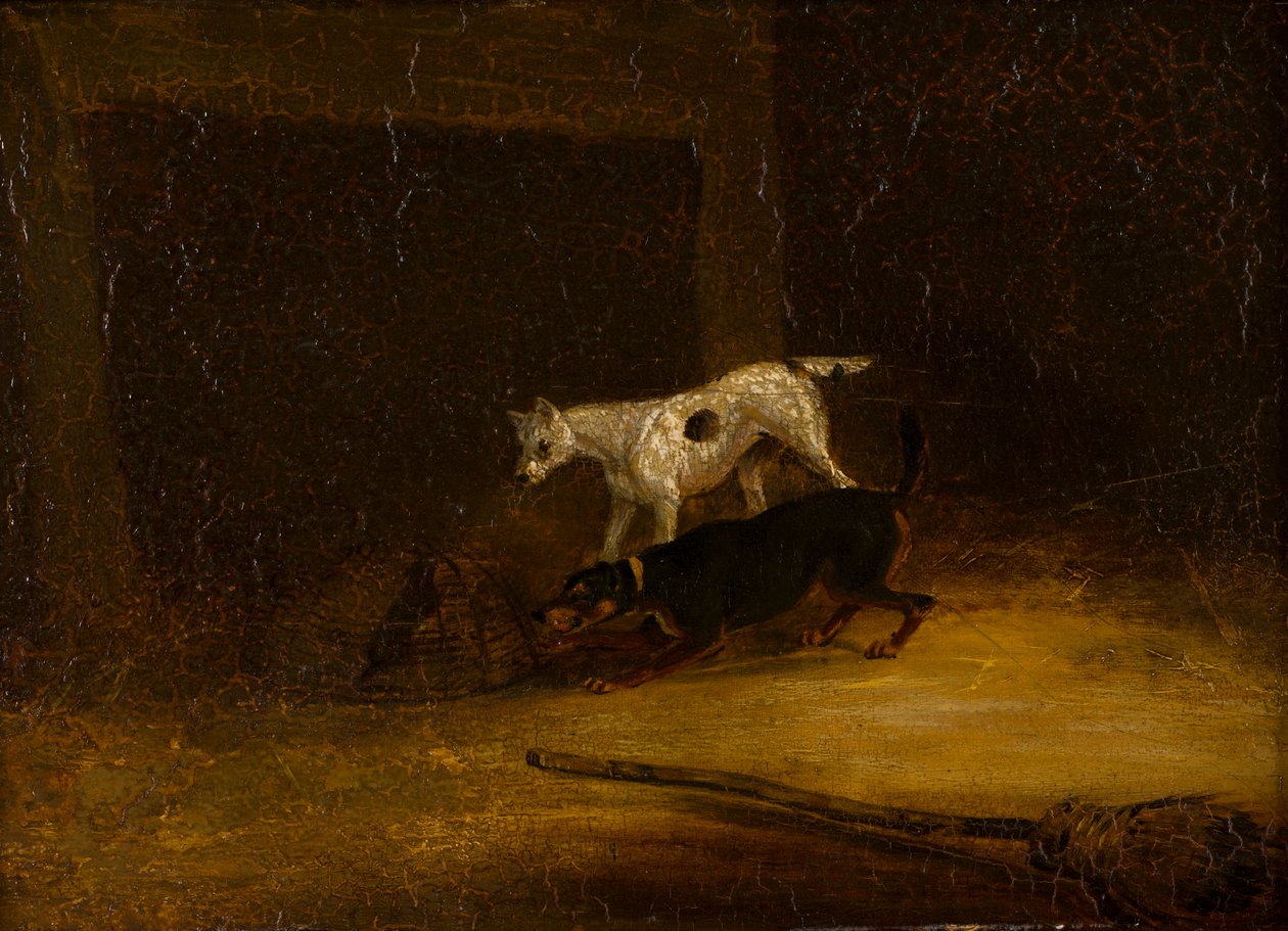 两只泰迪犬试图抓捕捕鼠器中的老鼠，约 1805-51 年（木板油画） 作者 亨利·托马斯（阿尔肯的追随者）
