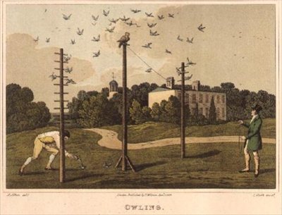 Owling》，托马斯-麦克莱恩出版 作者 亨利·托马斯·阿尔肯