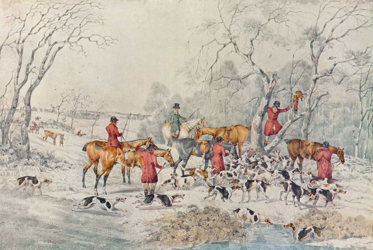 树木之狐，c1800，1922年 作者 亨利·托马斯·阿尔肯