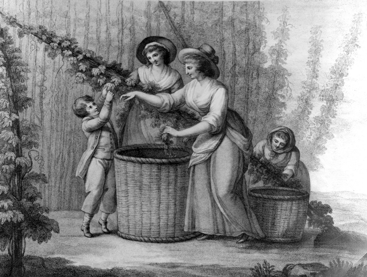 Hop Pickers，由威廉迪金森雕刻，1803年 作者 亨利·威廉·本伯里