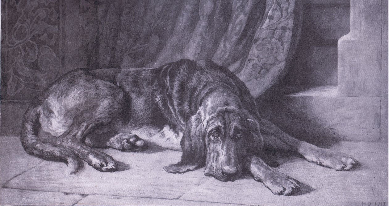 Sentinal，Bibbys年度，1916-17 作者 赫伯特·托马斯·迪克塞