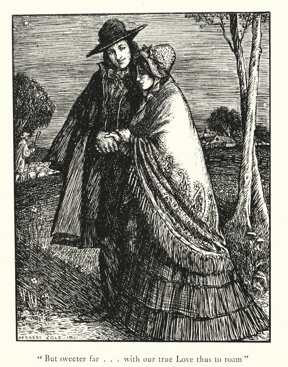  作者 赫伯特·科尔