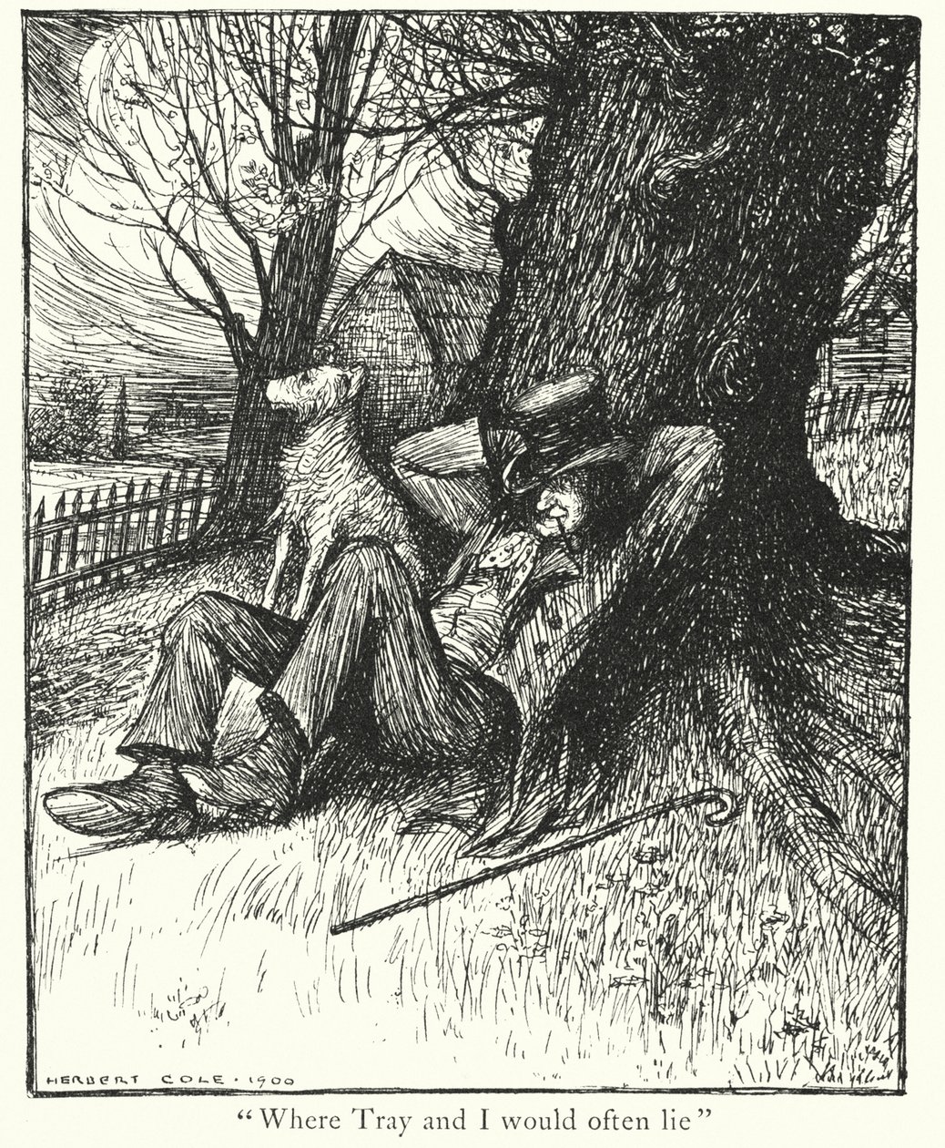  作者 赫伯特·科尔