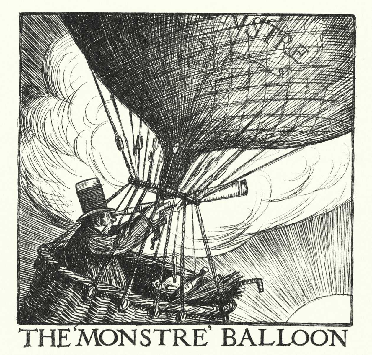  作者 赫伯特·科尔