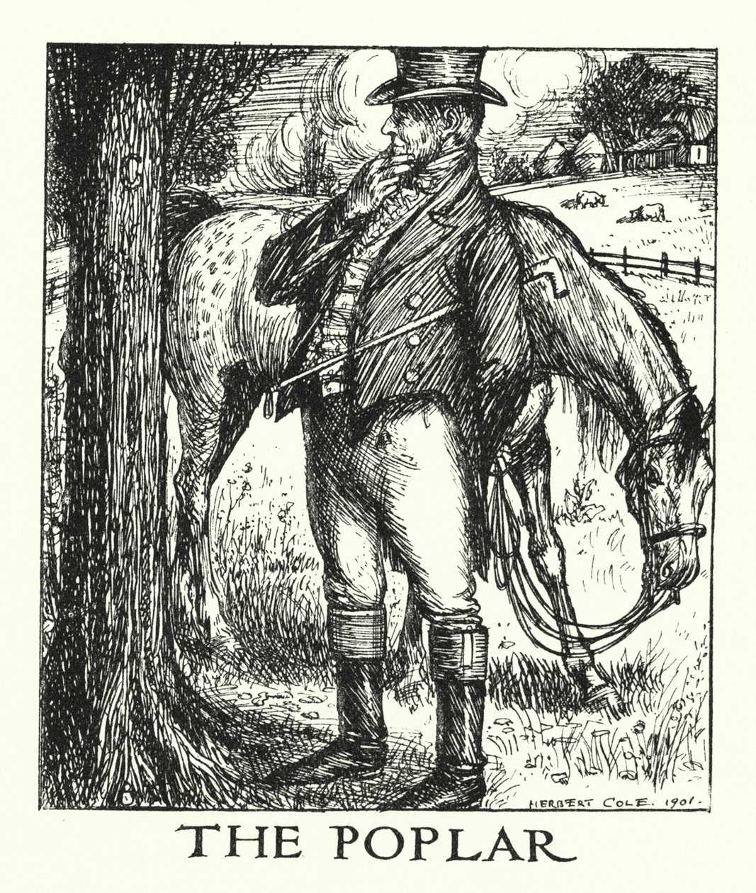  作者 赫伯特·科尔